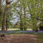 PXL_20230504_153054415