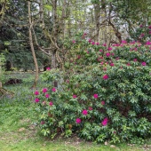 PXL_20230504_153234782