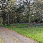 PXL_20230504_160334702