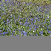 PXL_20230504_161212791