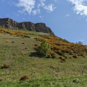 PXL_20230505_133157732