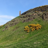 PXL_20230505_134955893