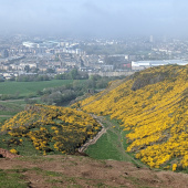 PXL_20230505_143134987