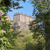 PXL_20240515_155649560